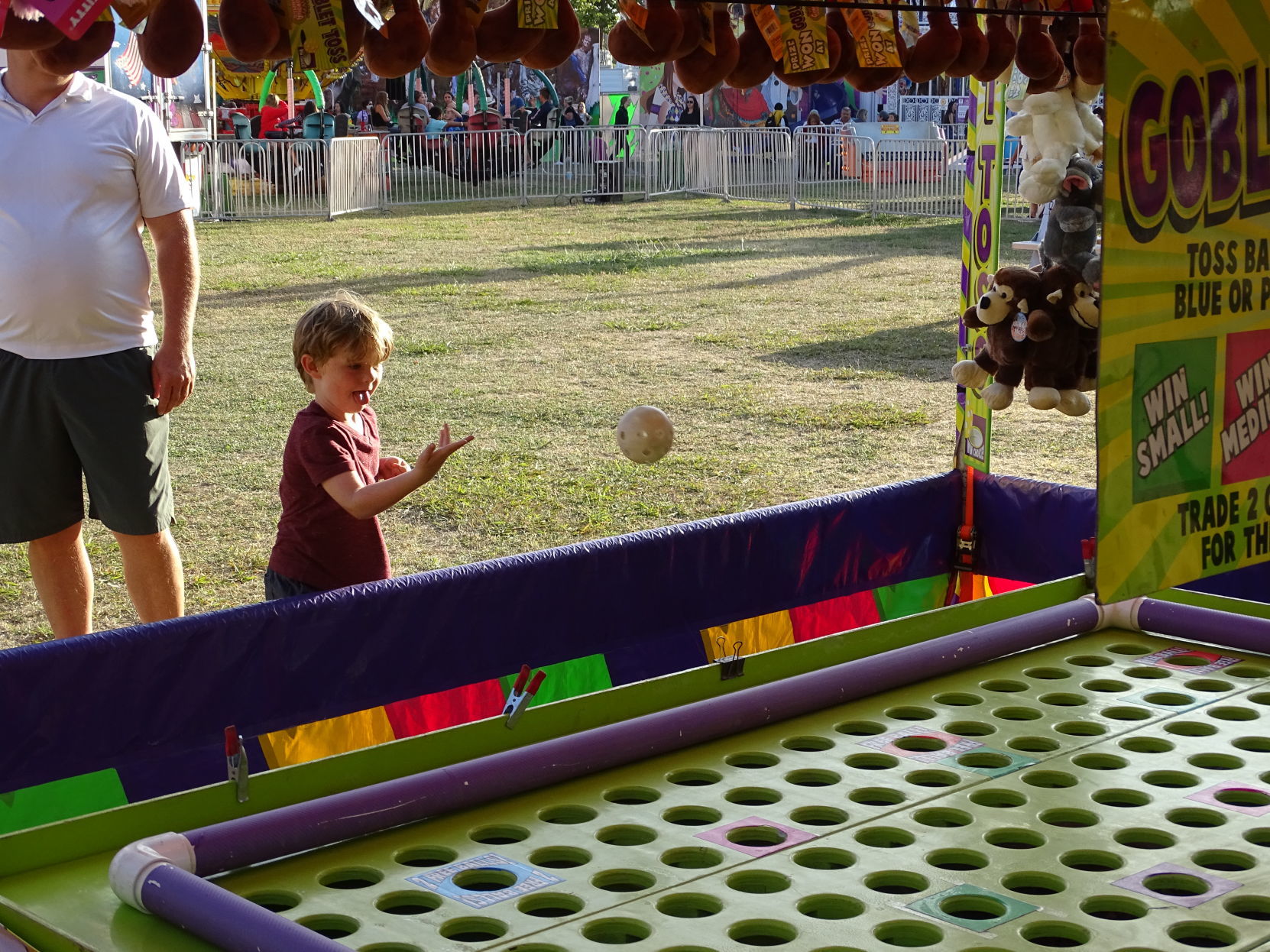 Napa Town & Country Fair 2019